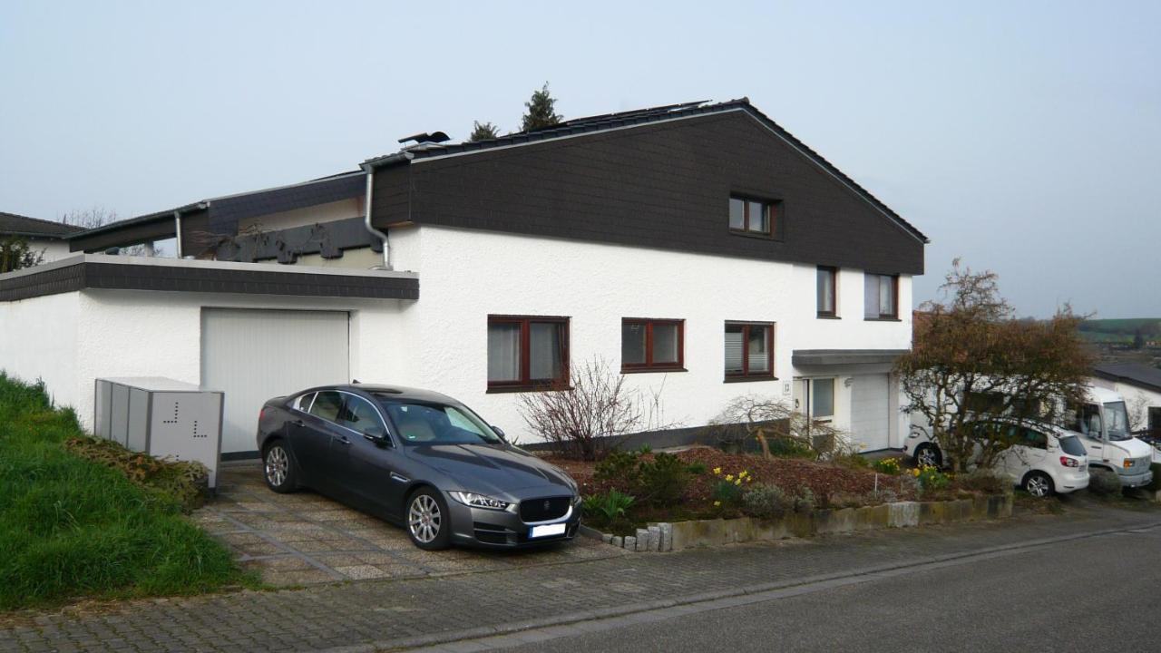 Ferienwohnung Sinsheim-Duehren Ngoại thất bức ảnh